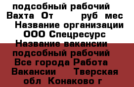 подсобный рабочий . Вахта. От 30 000 руб./мес. › Название организации ­ ООО Спецресурс › Название вакансии ­ подсобный рабочий - Все города Работа » Вакансии   . Тверская обл.,Конаково г.